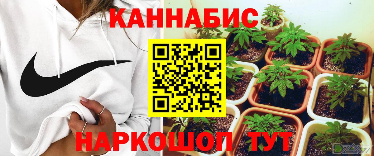 Марихуана марихуана Иркутск